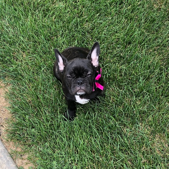 Your seller, Brittany - Picture 9 of 15